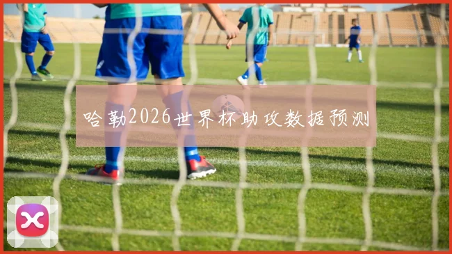 哈勒2026世界杯助攻数据预测