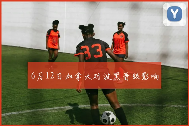 6月12日加拿大对波黑晋级影响