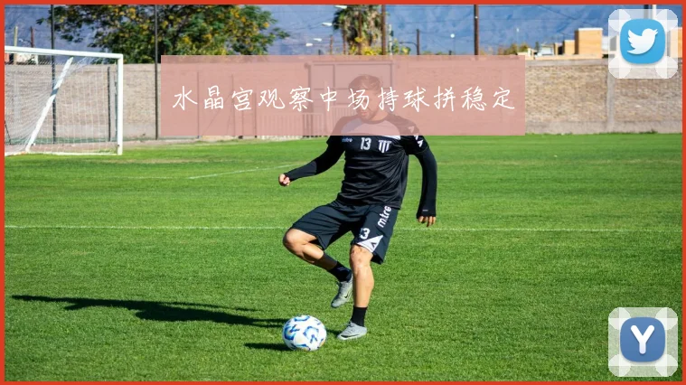 水晶宫观察中场持球拼稳定